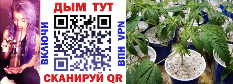Магазины продажи наркотиков Новоуральск ГЕРОИН  Меф  ГАШ  Бошки Шишки  A-PVP 