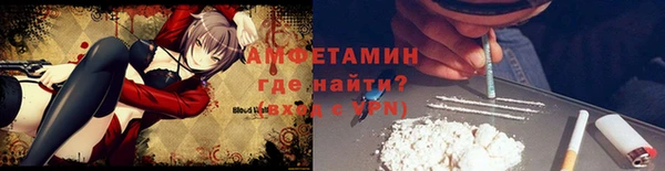гашик Алексеевка