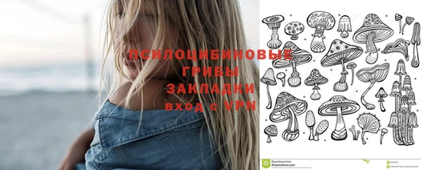 гашик Алексеевка
